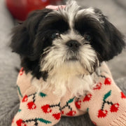 Pink Cherry Dog Sweater