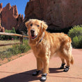 Load image into Gallery viewer, Lavasox / Marina Blue