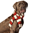 Load image into Gallery viewer, Red & White Striped Pet Scarf