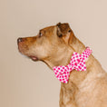 Load image into Gallery viewer, Chrishell Dog Bow Tie