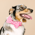 Load image into Gallery viewer, Chrishell Dog Babe Bow