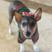 Christmas Bow Dog Sweater