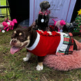 Load image into Gallery viewer, Red Christmas Bow Sweater Dog Dress - Southlake Paws