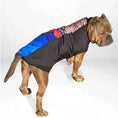 Load image into Gallery viewer, Purple Mountain Sport Fleece