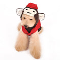Load image into Gallery viewer, Circus Monkey