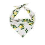 Citrus Blossom Lemon Dog Bandana