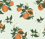 Citrus Blossom Orange Dog Bandana