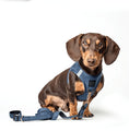 Load image into Gallery viewer, DOGISTRY 3-in-1 City Dog Leash - Denim