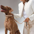 Load image into Gallery viewer, City Dog Leash - Dune
