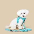 Load image into Gallery viewer, DOGISTRY 3-in-1 City Dog Leash - Fifth Avenue
