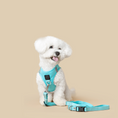 Load image into Gallery viewer, DOGISTRY 3-in-1 City Dog Leash - Fifth Avenue