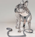 Load image into Gallery viewer, City Dog Leash - Steel