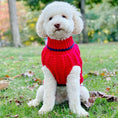 Load image into Gallery viewer, Up Country Classic Cable Sweater Pet Accessory