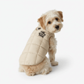 Load image into Gallery viewer, Cloudshell Vest