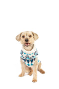 Load image into Gallery viewer, Coastal Cable Knit Dog Sweater