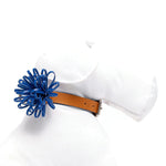 Cobalt Anemone Dog Collar