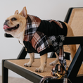 Load image into Gallery viewer, Frenchie Dog Hoodie - Cocoa Plaid