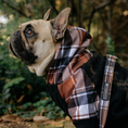 Load image into Gallery viewer, Frenchie Dog Hoodie - Cocoa Plaid