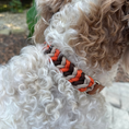 Load image into Gallery viewer, Coiled Charm Hand Braided Dog Collar in Burnt Orange, Walnut Brown, & Light Tan - Southlake Paws