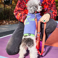 Load image into Gallery viewer, Dog Collar Kit.