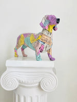 Colorful Newspaper Dachshund