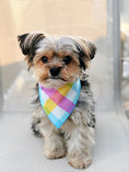 Load image into Gallery viewer, Colorful Plaid Dog Bandana