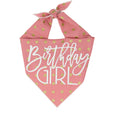 Load image into Gallery viewer, Contemporary Style Birthday Girl Tie Dog Bandana