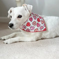 Load image into Gallery viewer, Conversation Hearts Valentine Bandana