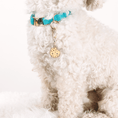 Load image into Gallery viewer, Cookie Pet Charm
