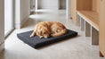 Load image into Gallery viewer, Bowsers Cool Gel Memory Foam Dog Crate Mattress Pad in flint