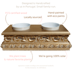 Luigi X Grumio Newfoundland