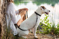 Load image into Gallery viewer, Celtic Sport Midnight Black Leather Dog Collar - image 5