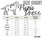 Gingham Picnic Dress