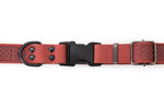 Celtic Sport Coral Reef Leather Dog Collar