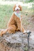 Load image into Gallery viewer, Cosette Dog Bandana