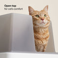 Load image into Gallery viewer, Cove Litter Box - Southlake Paws