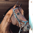 Load image into Gallery viewer, Replacement Noseband of ExionPro Anatomical Combined Flash Bridle with Reins