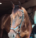 Load image into Gallery viewer, ExionPro Anatomical Combined Flash Bridle with Reins