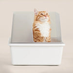 Cubby Litter Box tuft + paw