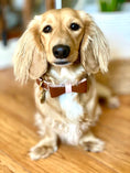 Load image into Gallery viewer, BOW TIE - BELLA ROSE