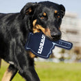 Load image into Gallery viewer, Dallas Cowboys #1 Fan Toy