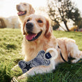 Load image into Gallery viewer, Dallas Cowboys Zubaz Dental Ring Toy