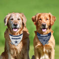 Load image into Gallery viewer, Dallas Cowboys Zubaz Reversible Dog Bandana
