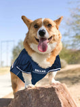 Load image into Gallery viewer, NFL Dallas Cowboys Mesh Dog Jersey - 3X-Large