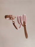 Load image into Gallery viewer, Lilco Braided-Leash | Sunblush