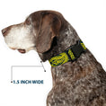 Load image into Gallery viewer, Plastic Clip Collar - Bandana/Skulls Green/Gold