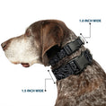 Load image into Gallery viewer, Plastic Clip Collar - Bandana/Skulls Black/Silver