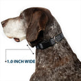 Load image into Gallery viewer, Plastic Clip Collar - Bandana/Skulls Silver/Black