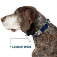 Load image into Gallery viewer, Beach Dawg Care Paw Logo Full Color Black Seatbelt Buckle Collar - BEACH DAWG CARE ALL DOGS ARE EQUAL Navy/Oange