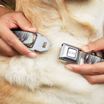 FRUITS BASKET Title Logo Full Color White/Purple Seatbelt Buckle Collar - Fruits Basket Kyo Yuki Shigure Group Faces Mint Green